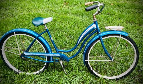 Schwinn Fiesta scheda tecnica e recensioni